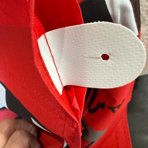 Dale Earnhardt Jr. Nascar 2000 Red Racing Banner - Picture 8 of 14